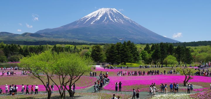 HD PENTAX-DA 16-85mmF3.5-5.6ED DC WR