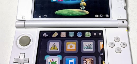 Nintendo 3DS + とびだせどうぶつの森
