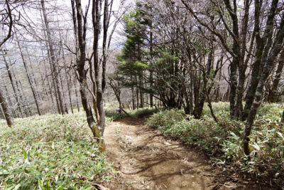 入笠山 トレッキングコース