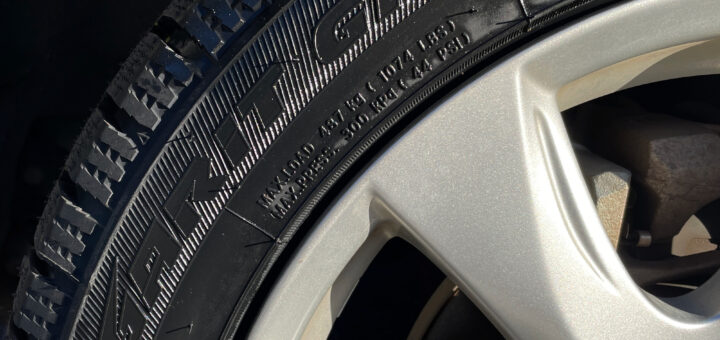 TOYO OBSERVE GARIT GIZ