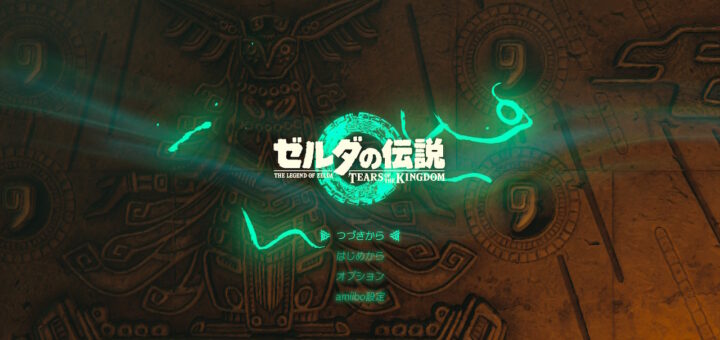 ゼルダの伝説 ティアーズ オブ ザ キングダム